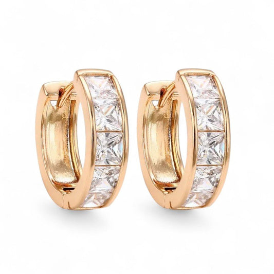 Auskari “Viviana”