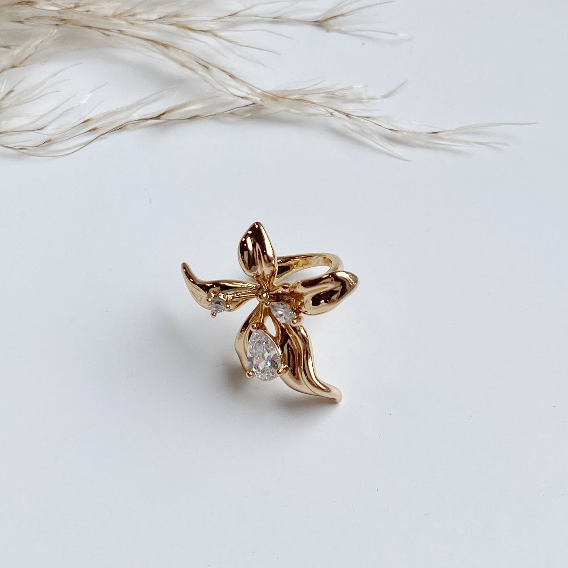 Ausu pīrsings , kaffs (cuff) – ,