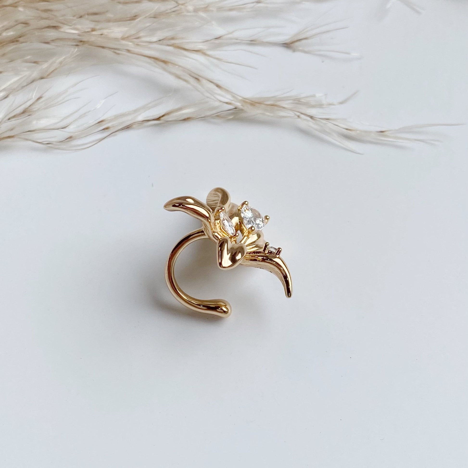 Ausu pīrsings , kaffs (cuff) – ,
